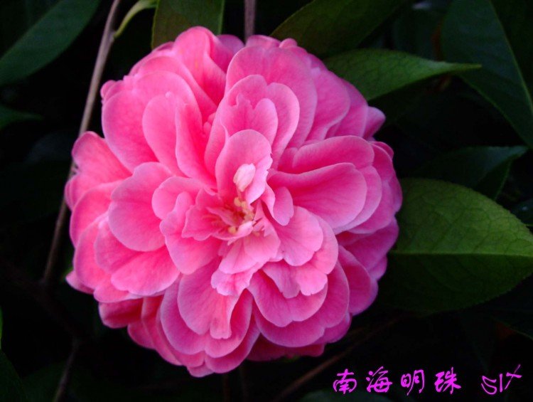 �Ϻ����� 10-4-10 (1).jpg