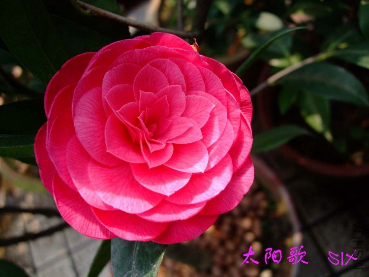 ̫����  10-4-10 (1).jpg