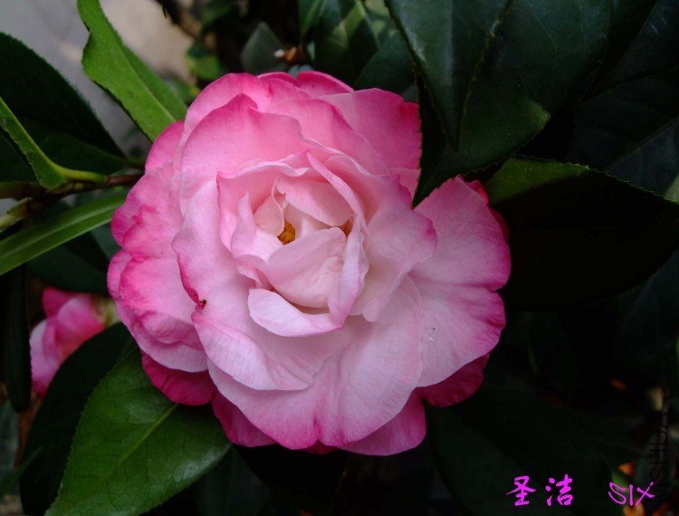 ʥ�� 10-4-10 (3).jpg