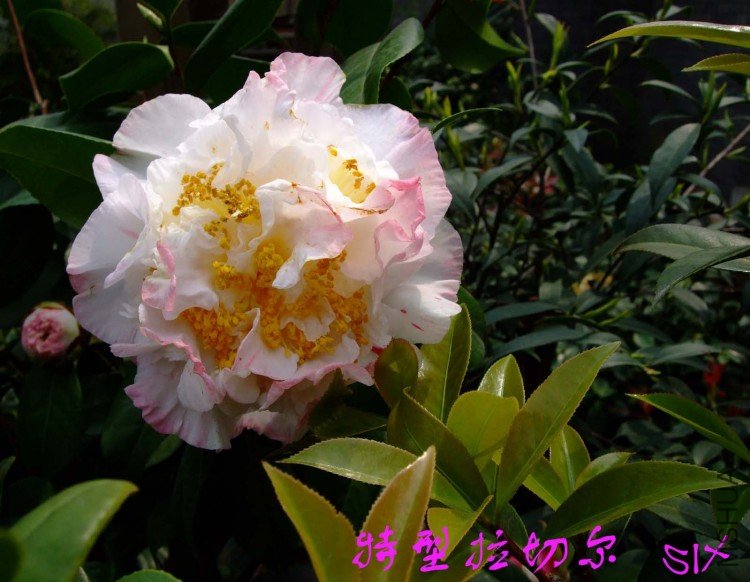 ����  10-4-10 (1).jpg