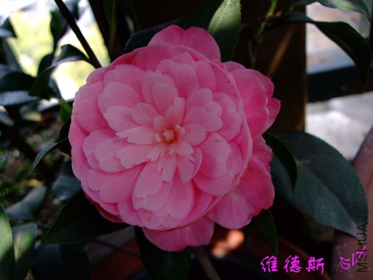 ά��˹ 10-4-10 (2).jpg