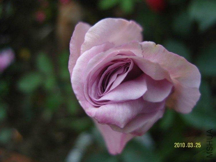 SNV84376.jpg
