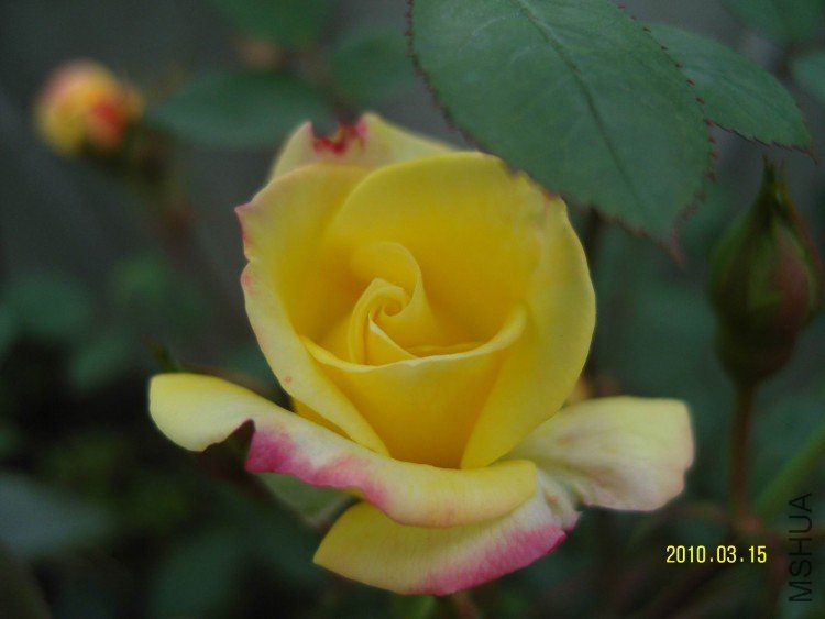 SNV84364.jpg