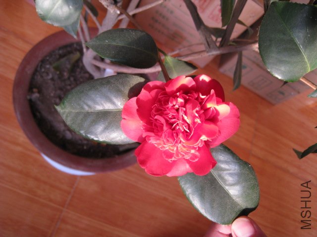 ��Ƭ 010.jpg