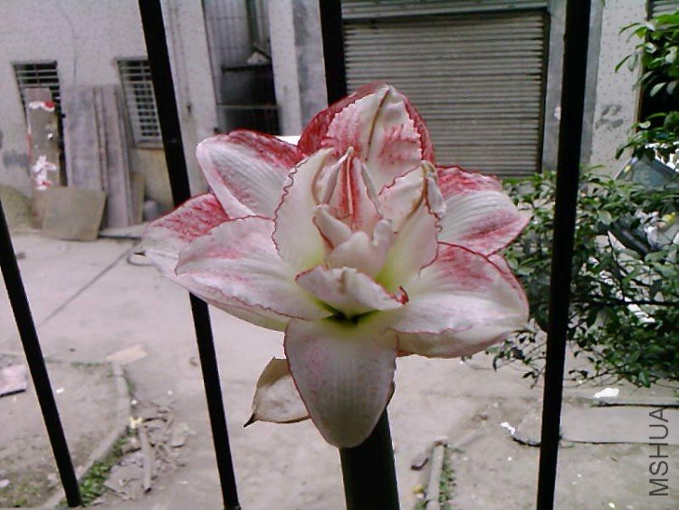 ��Ƭ-1027.jpg