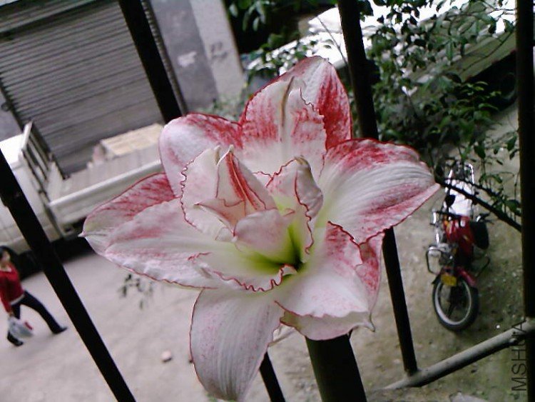 ��Ƭ-1030.jpg