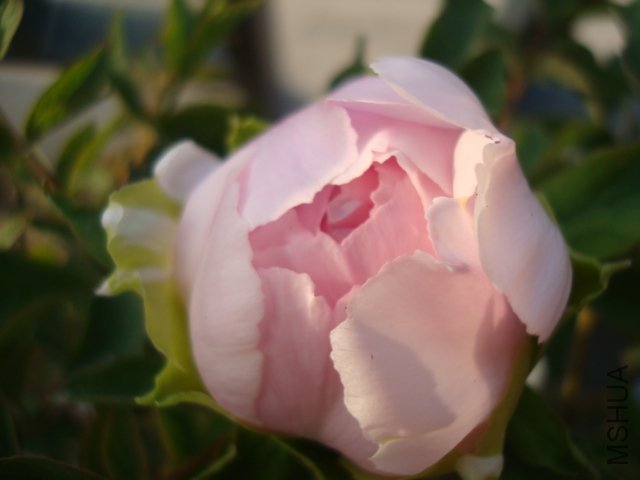 DSC02608.JPG