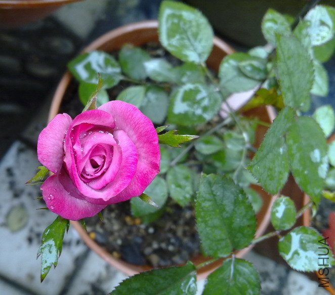 201004112397.jpg