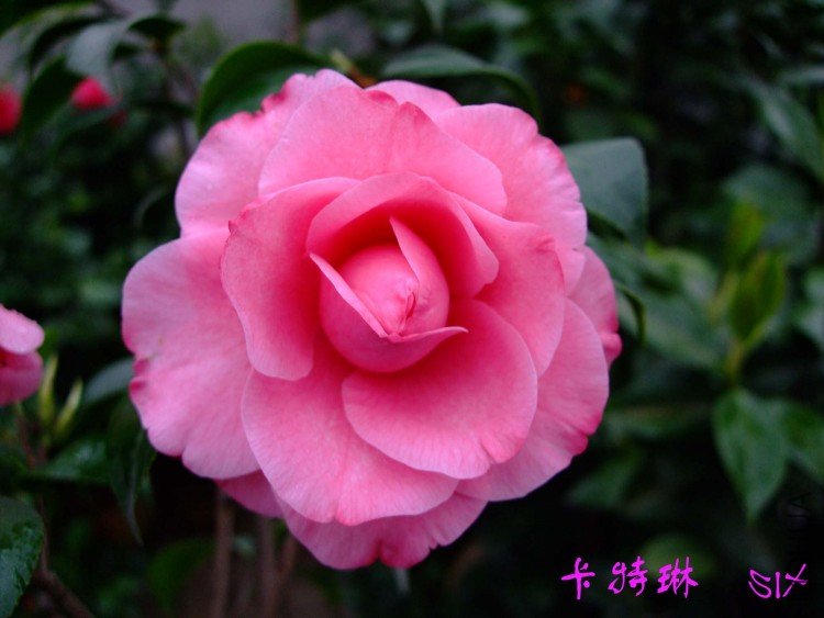 ������  10-4-11(1).jpg