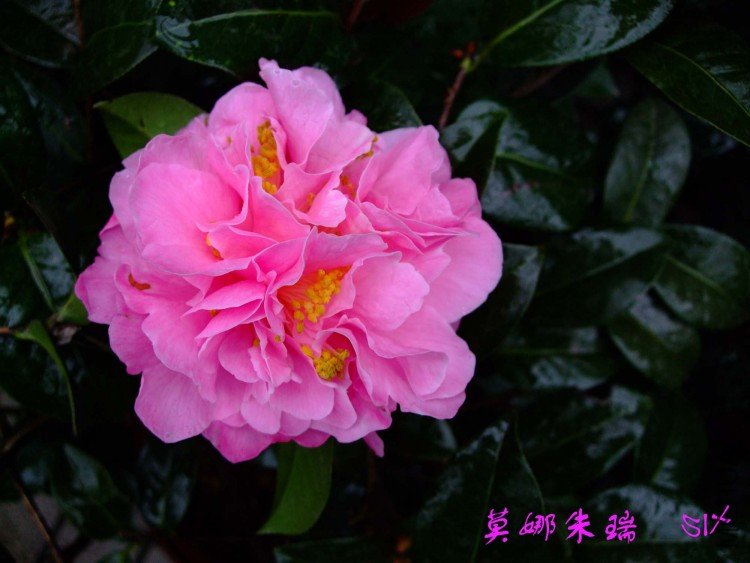 Ī������ 10-4-11(1).jpg