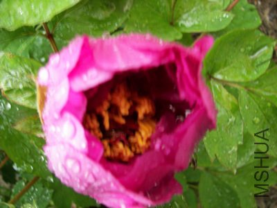 ����ĵ������֪Ʒ��