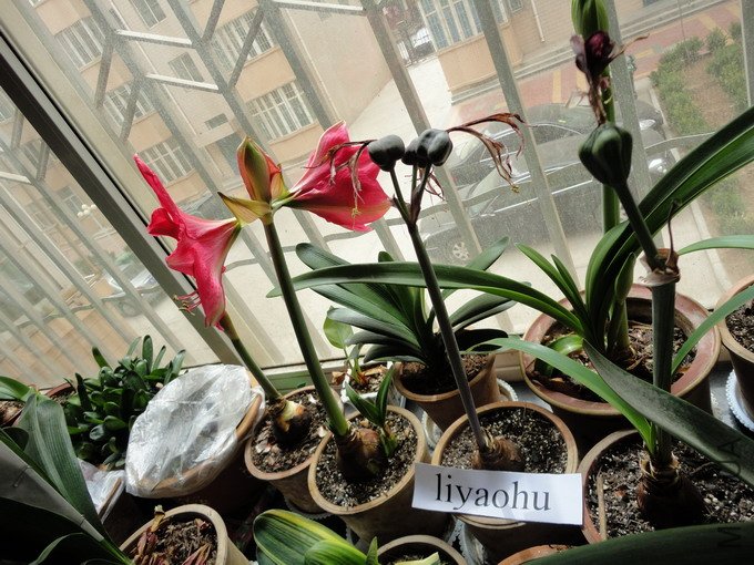 DSC00052.JPG