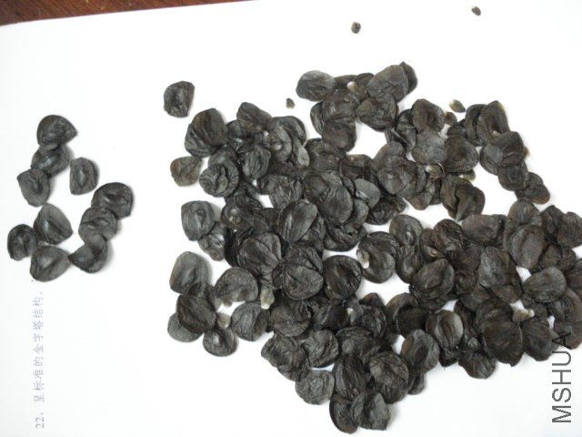 DSC04569.JPG