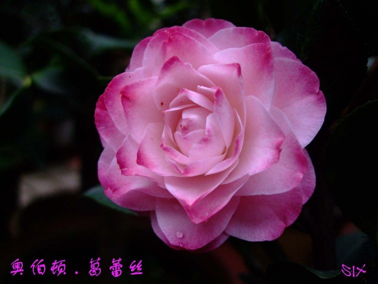 �²���  10-4-13 (2).jpg