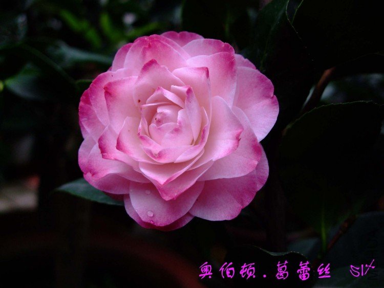 �²���  10-4-13 (3).jpg