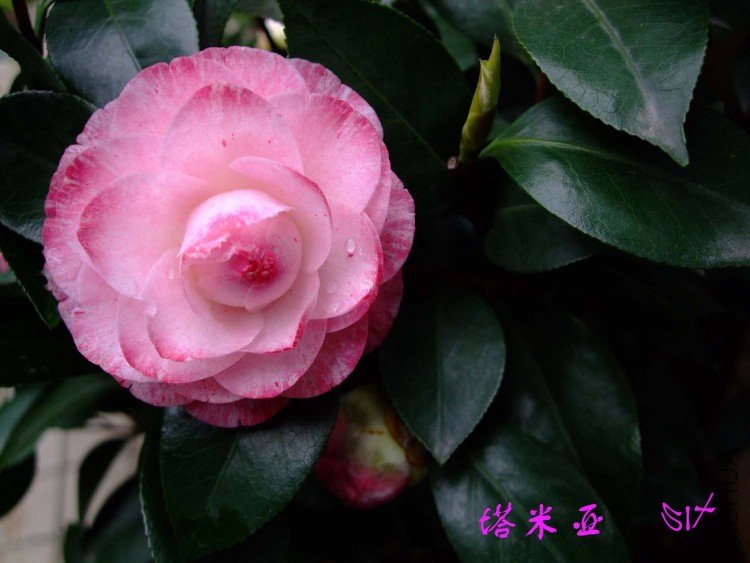 ������ 10-4-13 (5).jpg