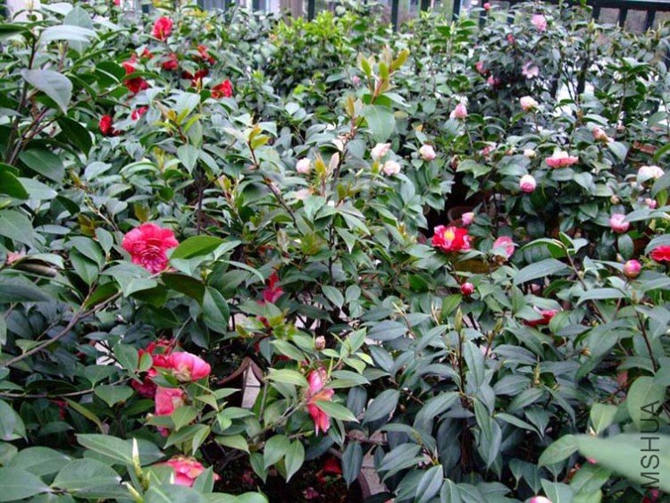 �軨԰ 10-4-12f.jpg