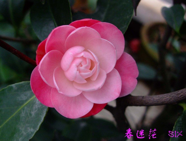 ����ã 10-4-12 (1).jpg