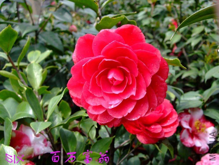 ������ 10-4-12 (3).jpg