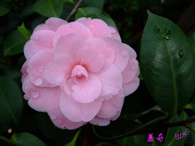 ����  10-4-12(1).jpg