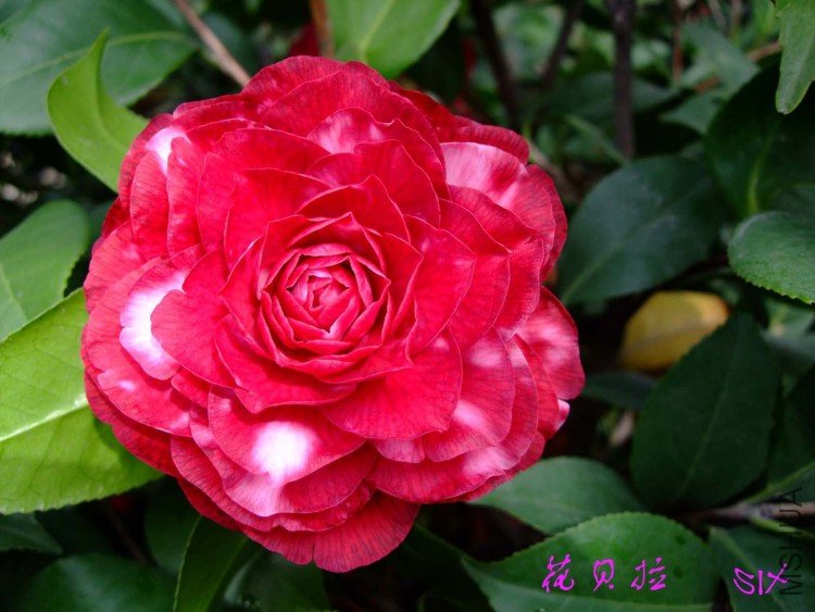 ������  10-4-12(1).jpg