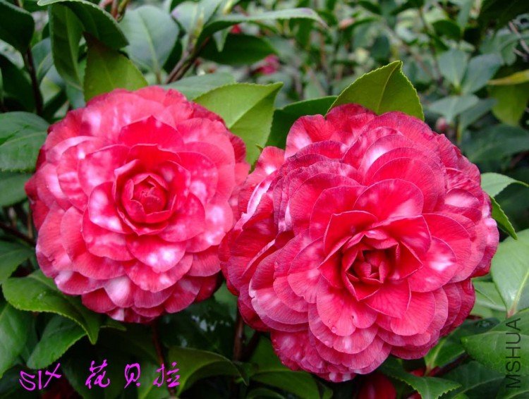 ������  10-4-12 (3).jpg