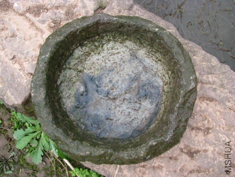 BigBull_��Ƭ 088.jpg