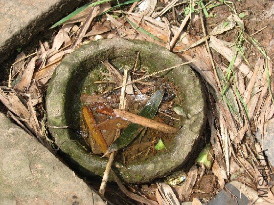 BigBull_BigBull_��Ƭ 066.jpg