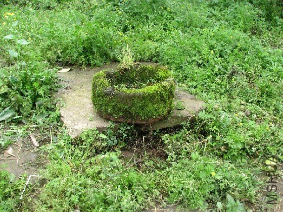 BigBull_BigBull_��Ƭ 052.jpg