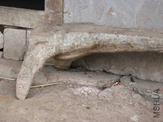 ���Ͷ��صĶ���