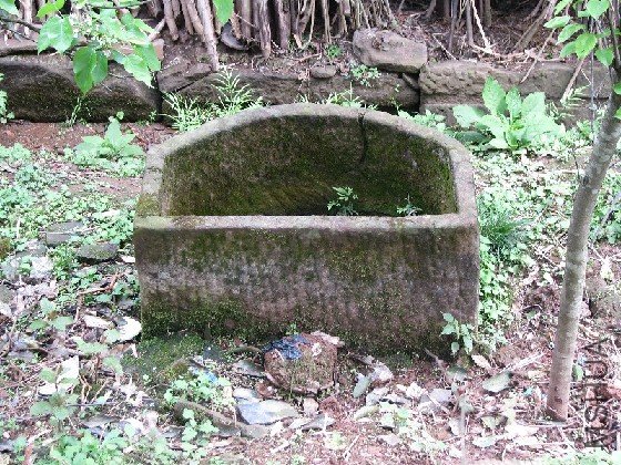 BigBull_BigBull_��Ƭ 064.jpg