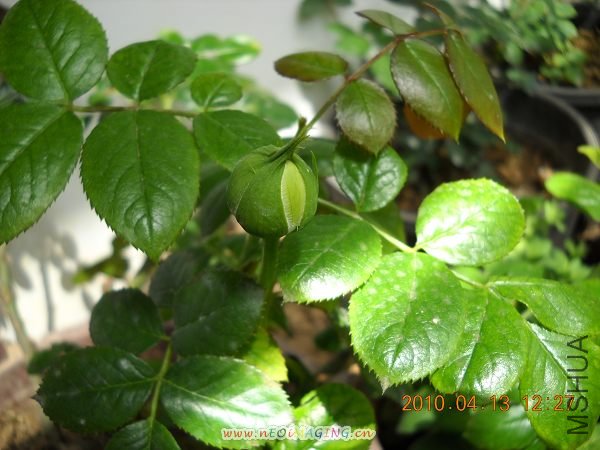 ��Ƭ 041.jpg