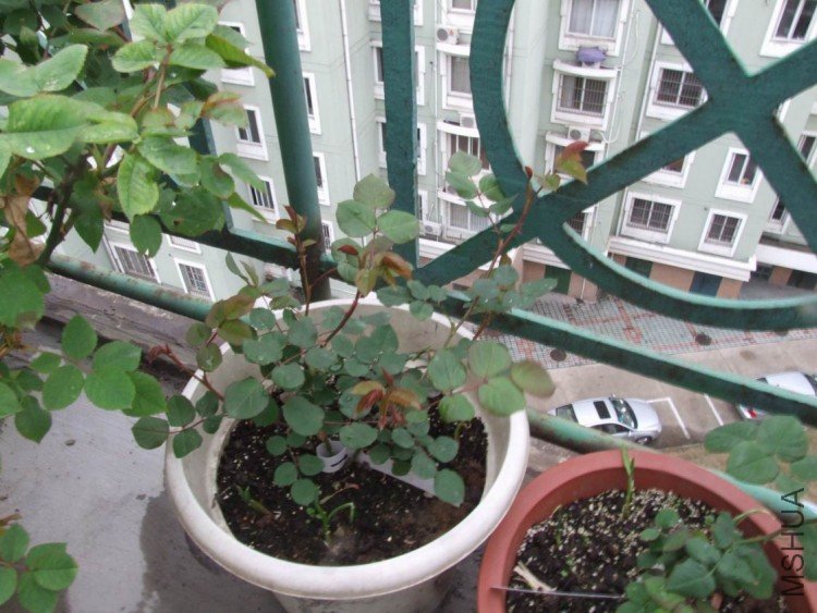 DSCF0588.JPG