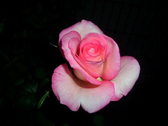 4��13�������Ȱ뿪5.jpg