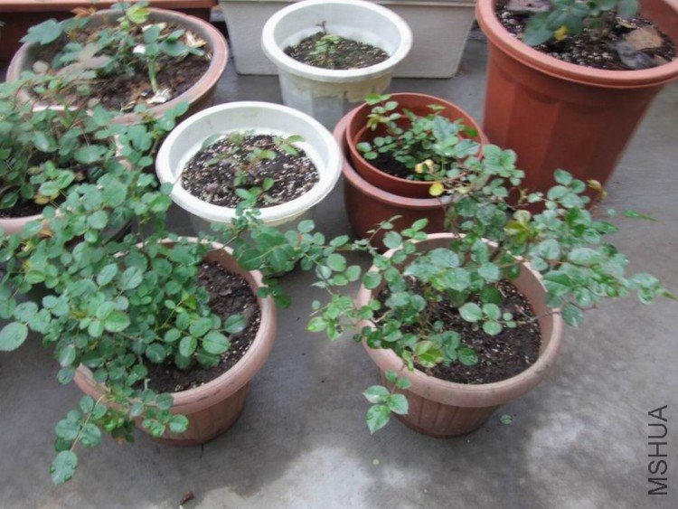 DSCF0579.JPG