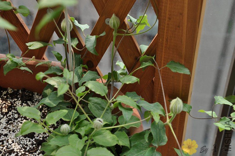 nEO_IMG_��Ƭ 035.jpg