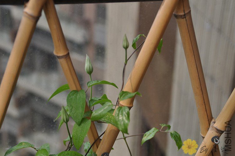 nEO_IMG_��Ƭ 036.jpg