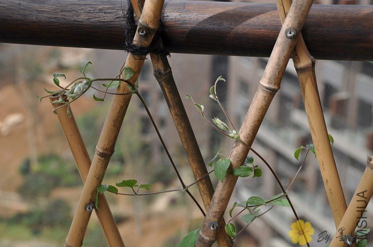 nEO_IMG_��Ƭ 008.jpg