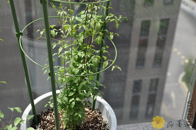 nEO_IMG_��Ƭ 005.jpg