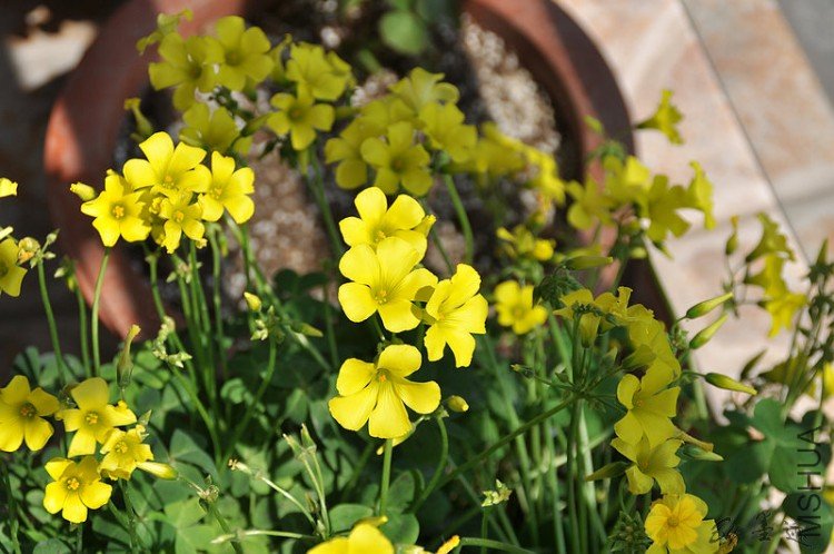 nEO_IMG_��Ƭ 022.jpg