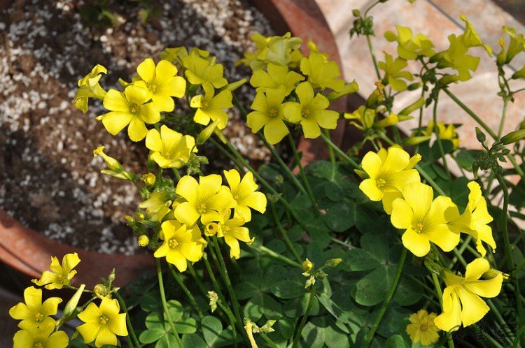 nEO_IMG_��Ƭ 024.jpg