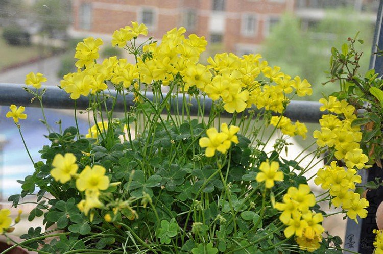 nEO_IMG_��Ƭ 058.jpg