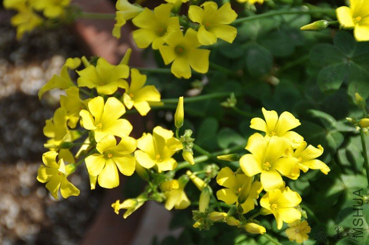 nEO_IMG_��Ƭ 025.jpg