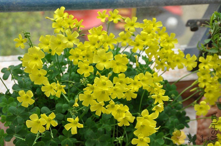 nEO_IMG_��Ƭ 059.jpg