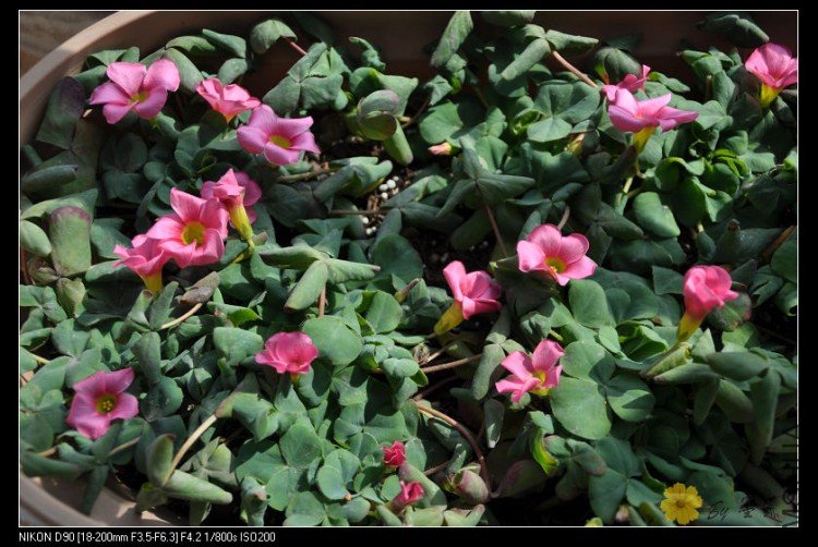 nEO_IMG_��Ƭ 076.jpg