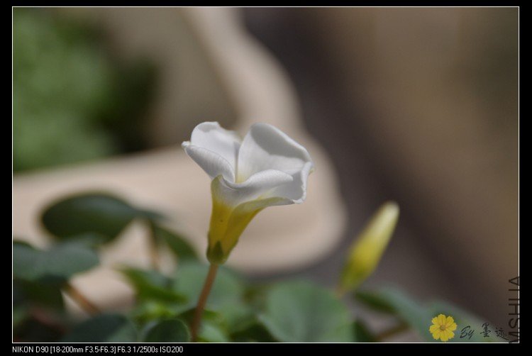 nEO_IMG_��Ƭ 080.jpg