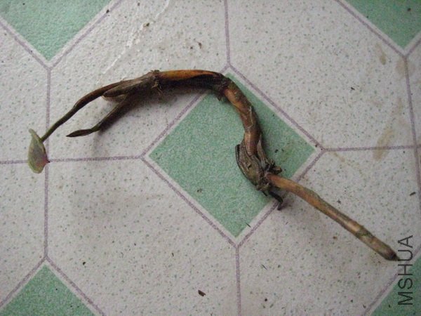 ��Բ����~~