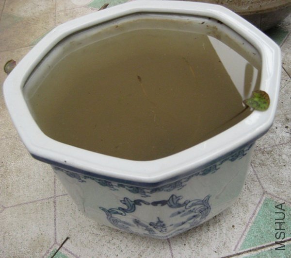 С���ļ�~~ˮ�Ƚϻ��ǣ��ٵ������������������