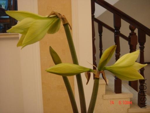 DSC03098.JPG