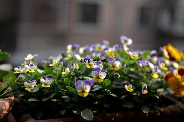 ��Ƭ 025.jpg